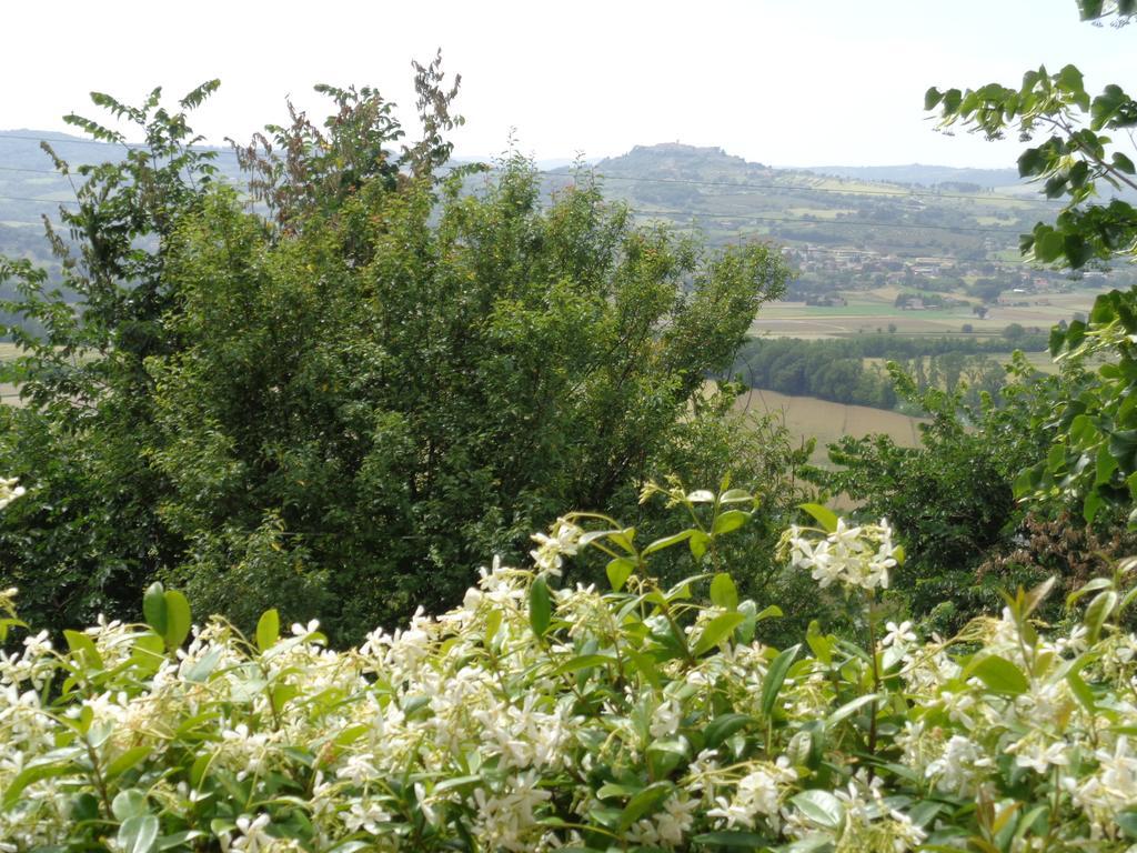 Agriturismo La Torraccia Τόντι Εξωτερικό φωτογραφία